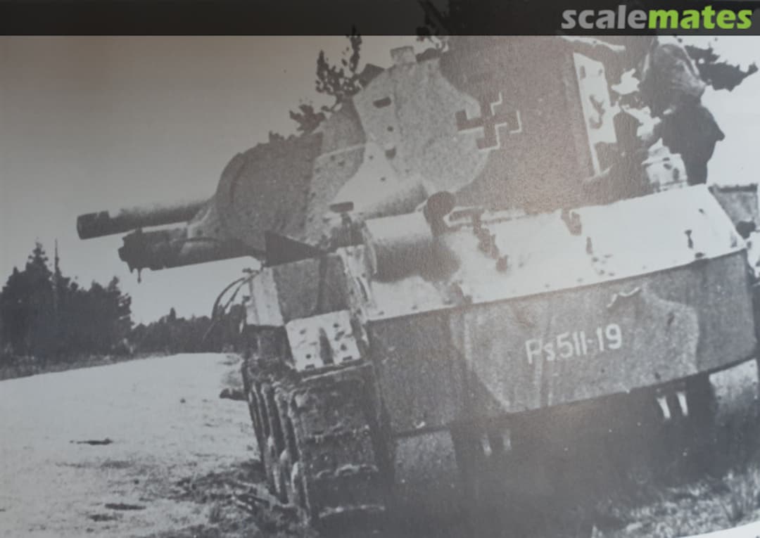 View album, image #1 View album, image #1