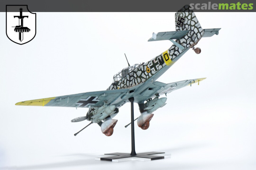 View album, image #1 View album, image #1