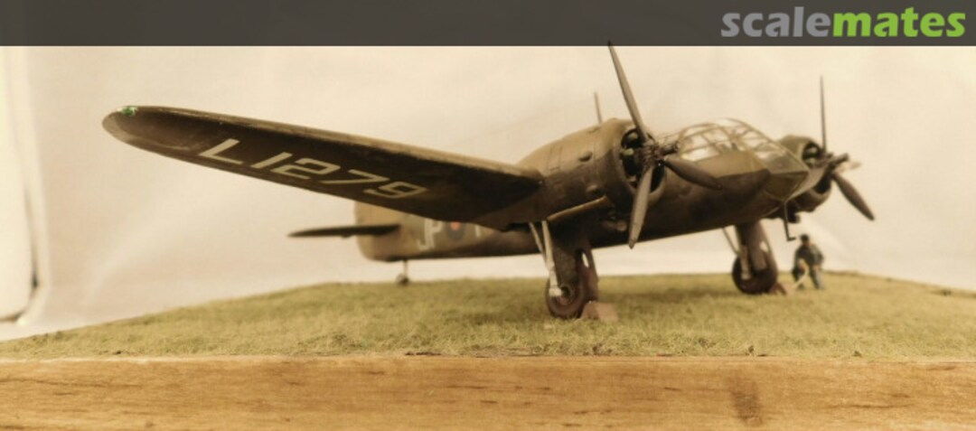 View album, image #1 View album, image #1