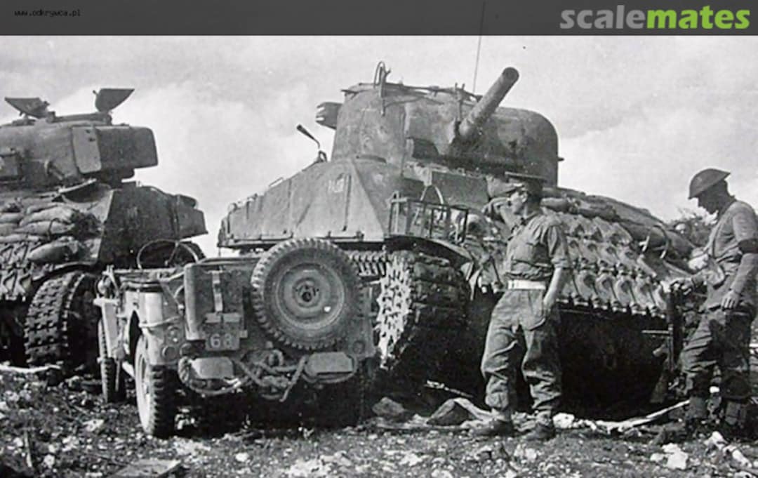 View album, image #1 View album, image #1