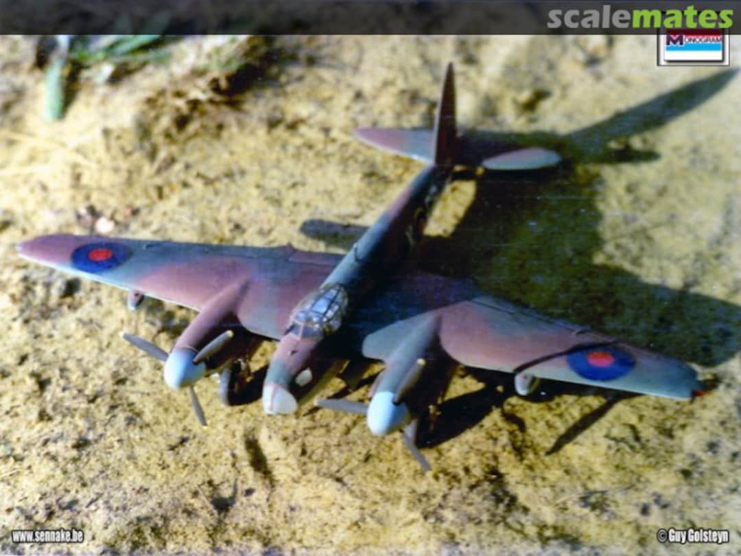 View album, image #1 View album, image #1