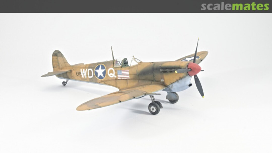 View album, image #1 View album, image #1