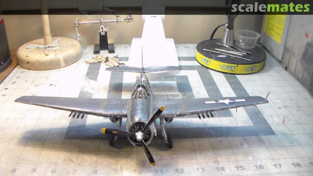 View album, image #1 View album, image #1