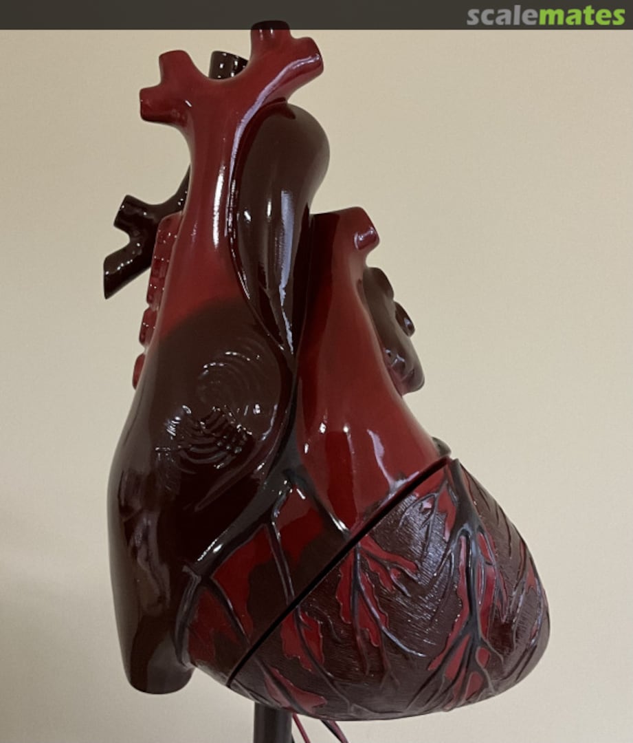 View album, image #6