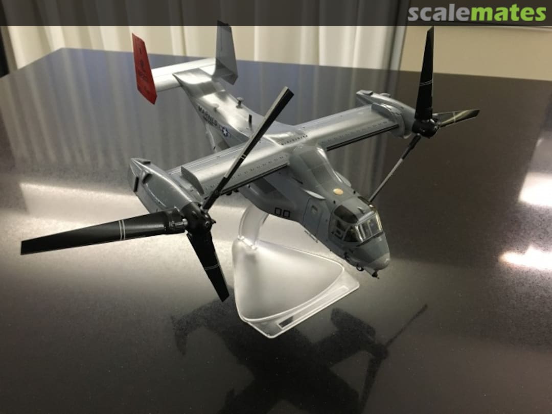 View album, image #1