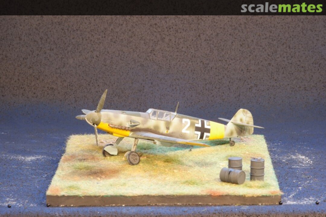 View album, image #1 View album, image #1