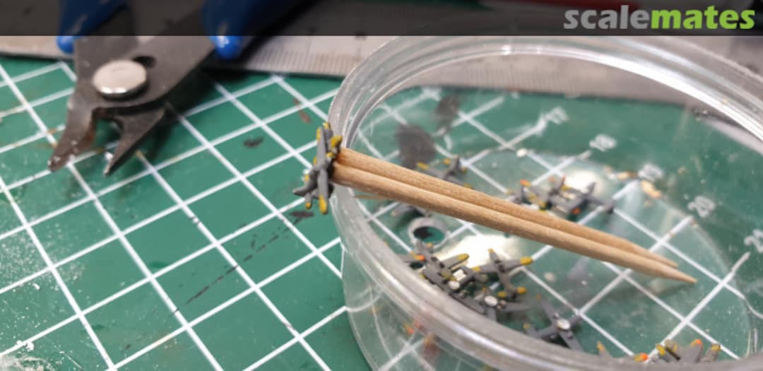 View album, image #1 View album, image #1