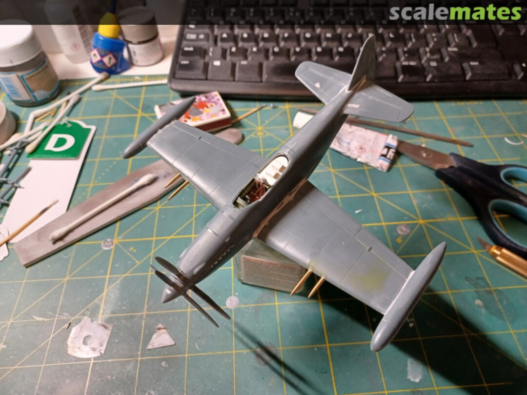 View album, image #1