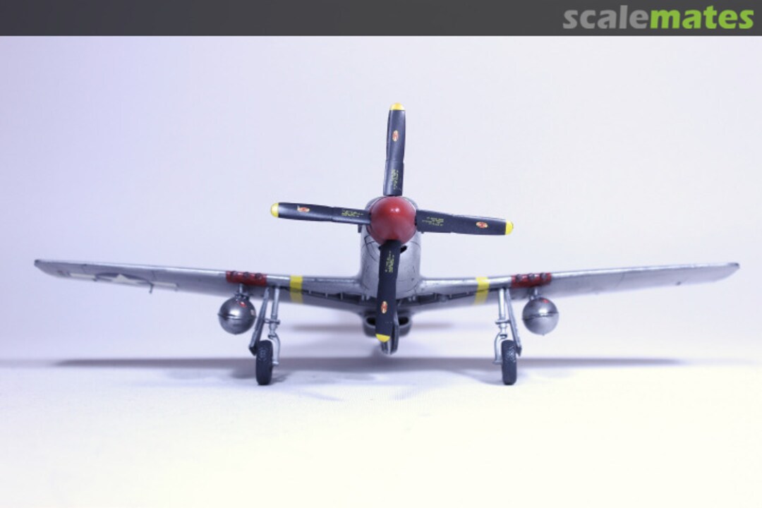 View album, image #1 View album, image #1