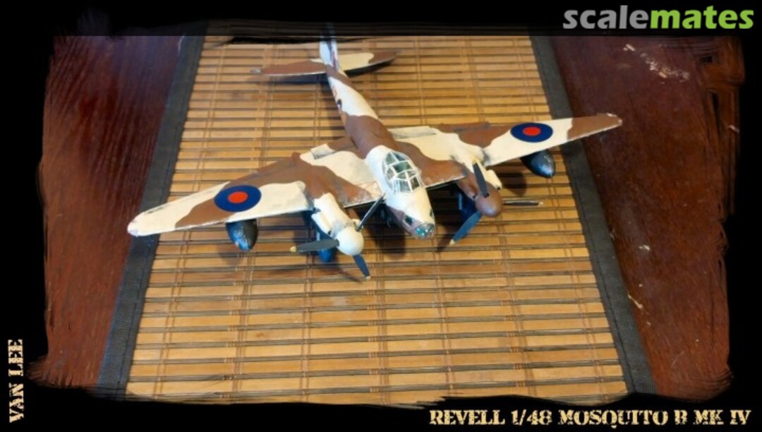 View album, image #1 View album, image #1