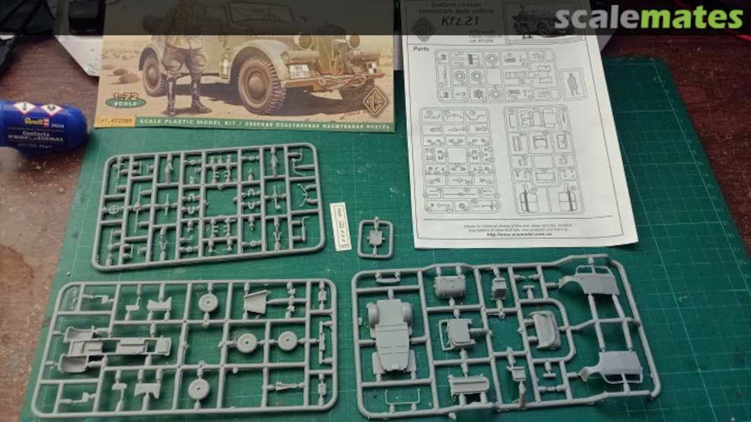 View album, image #1