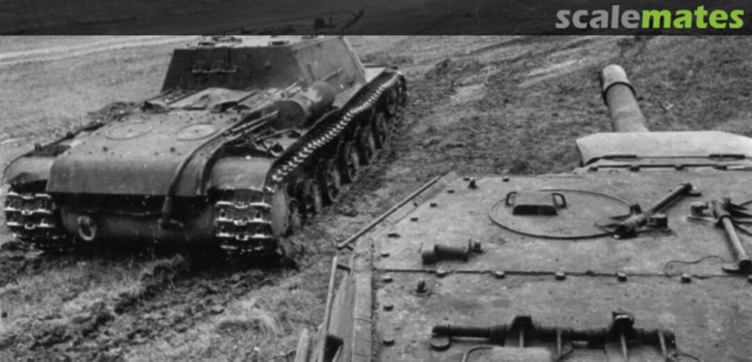 View album, image #59 View album, image #59