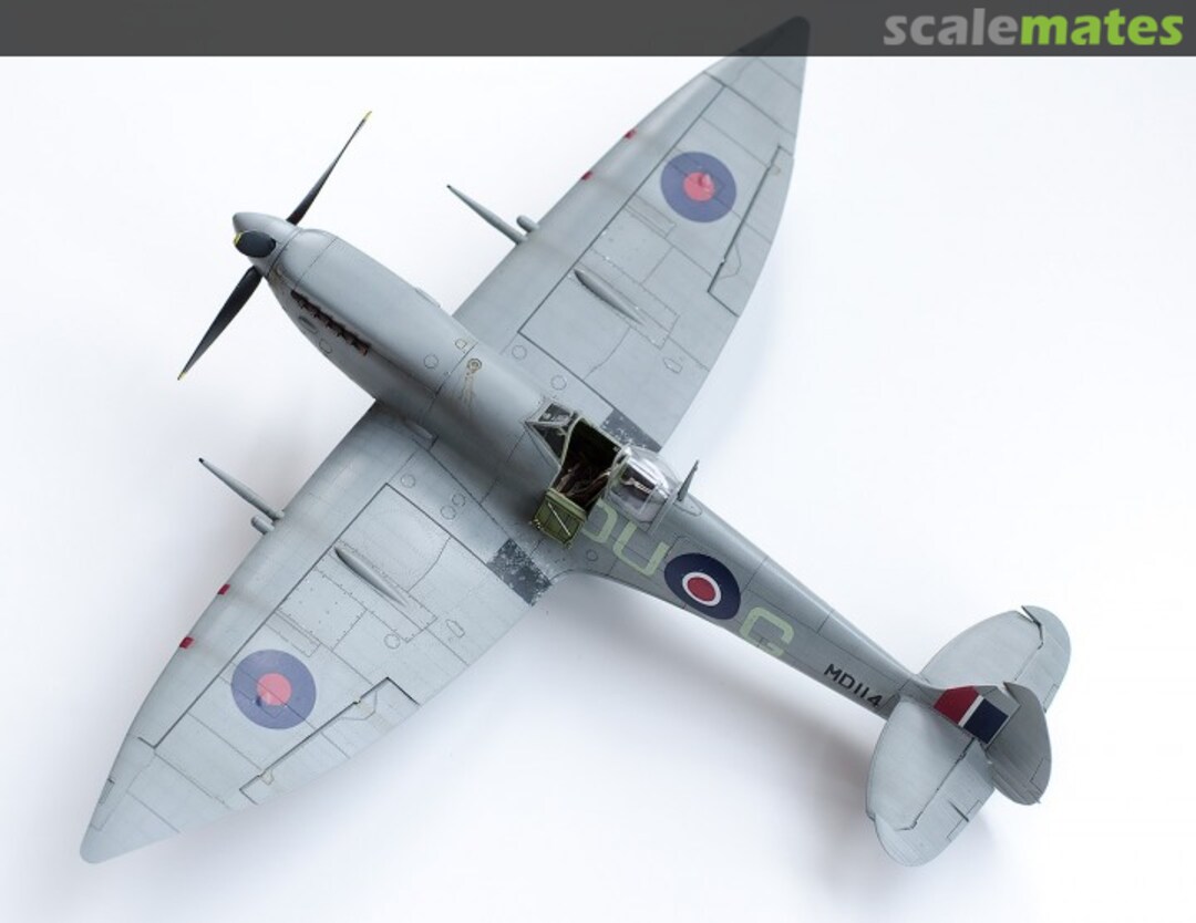 View album, image #1 View album, image #1