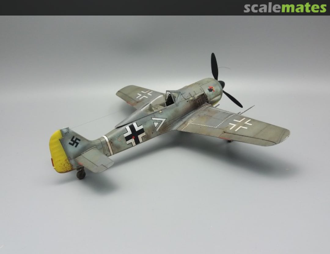 View album, image #1 View album, image #1