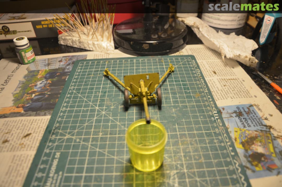 View album, image #4 View album, image #4