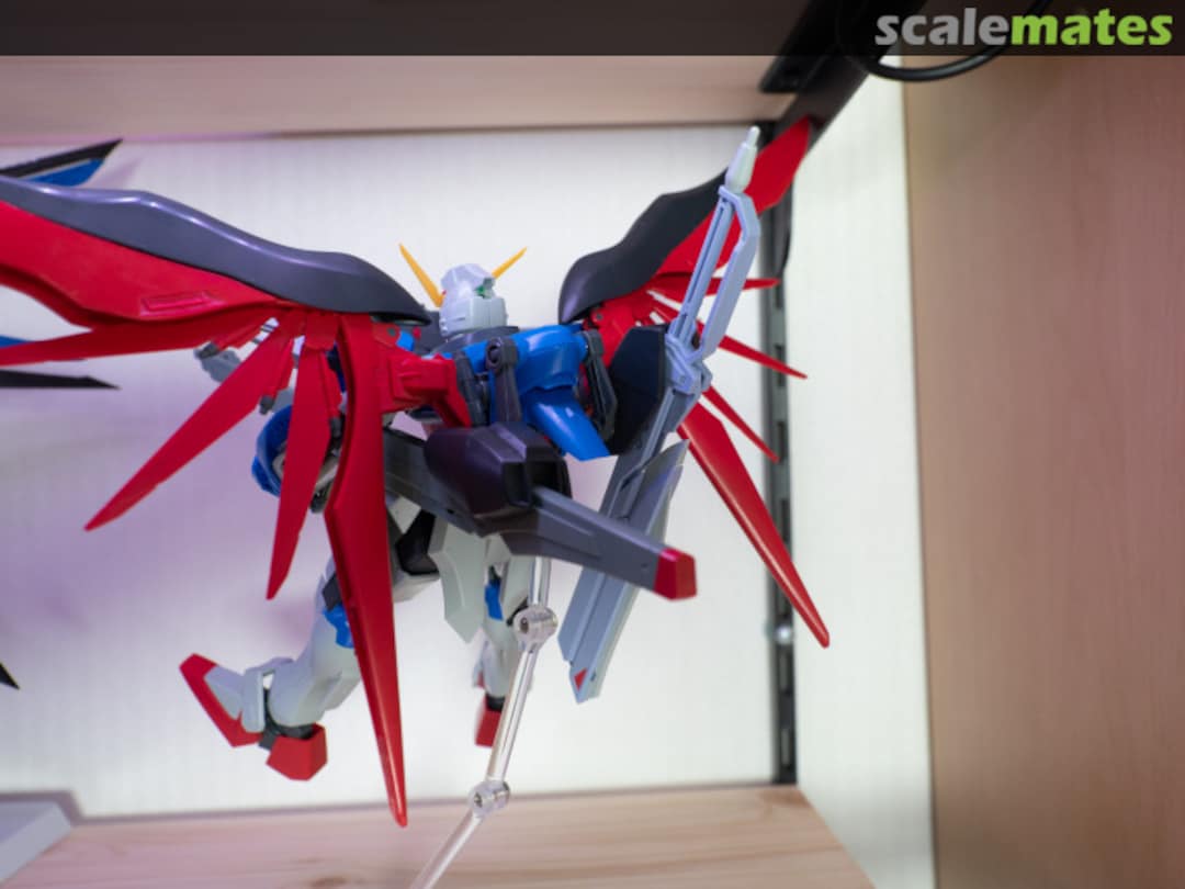 View album, image #1 View album, image #1