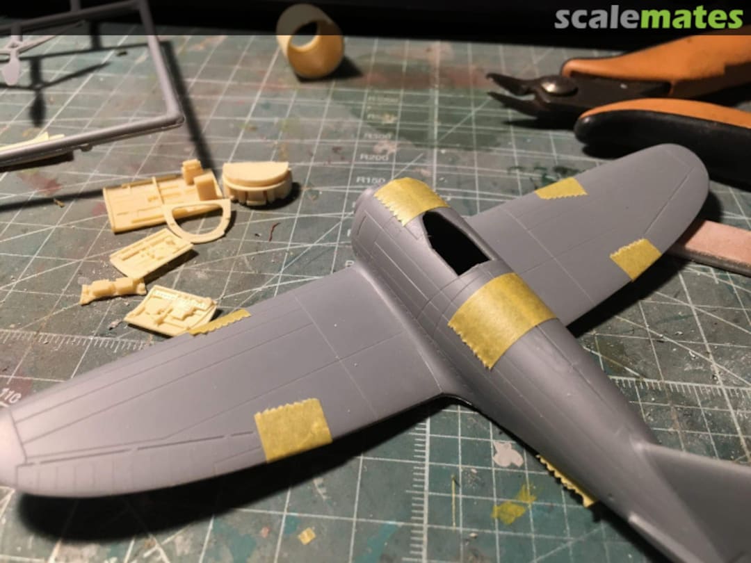 View album, image #1 View album, image #1