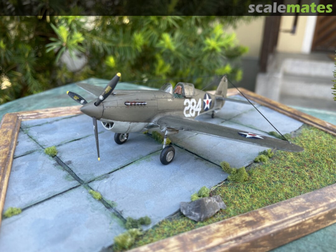 View album, image #1