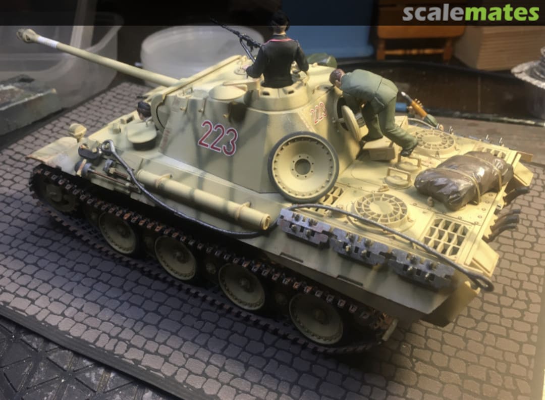 View album, image #6