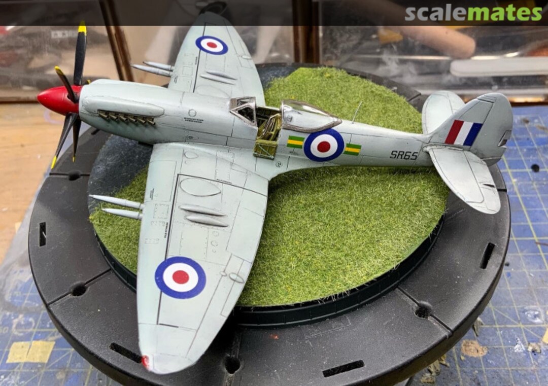 View album, image #9 View album, image #9