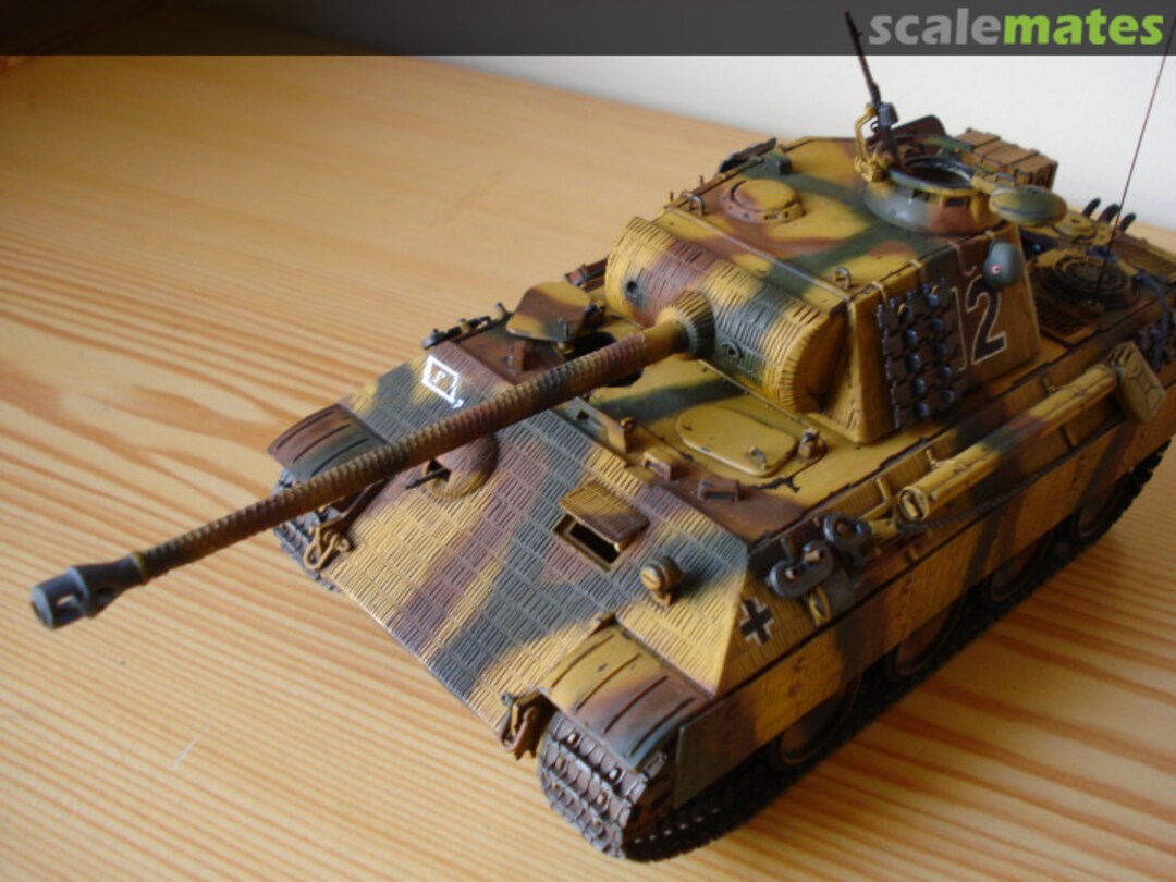 View album, image #1