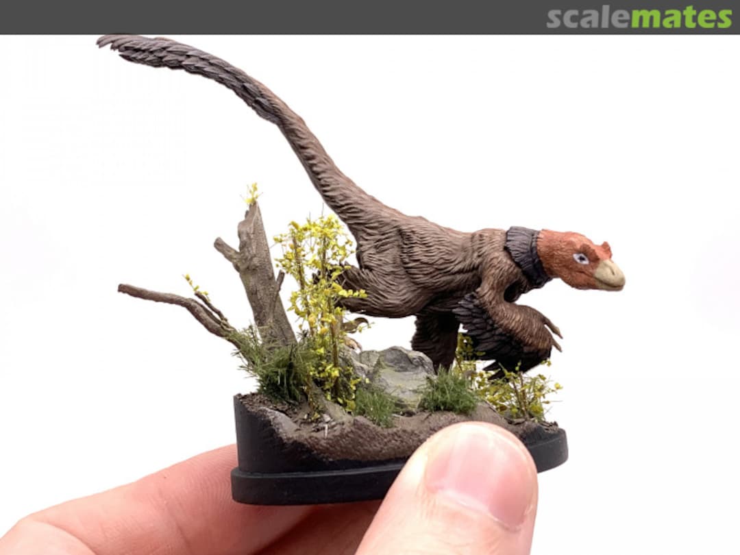 View album, image #7 View album, image #7