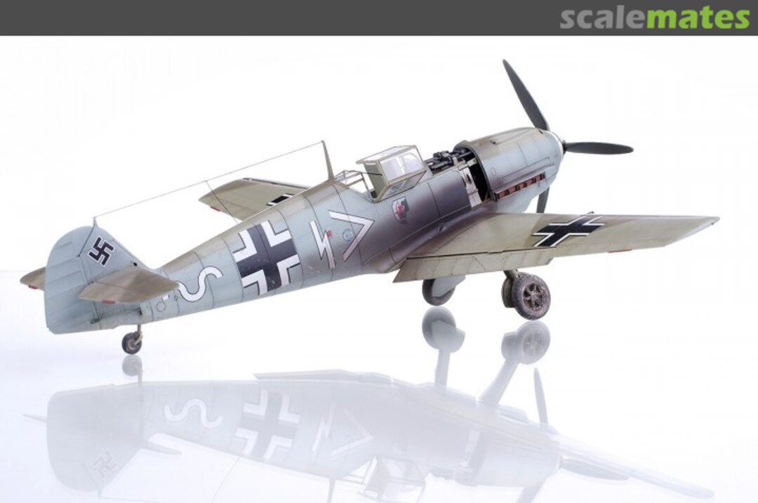 View album, image #1 View album, image #1