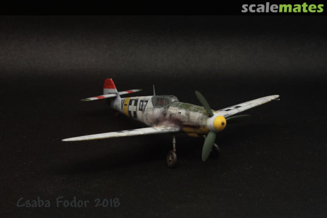 View album, image #1 View album, image #1