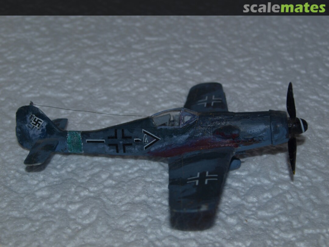 View album, image #1 View album, image #1