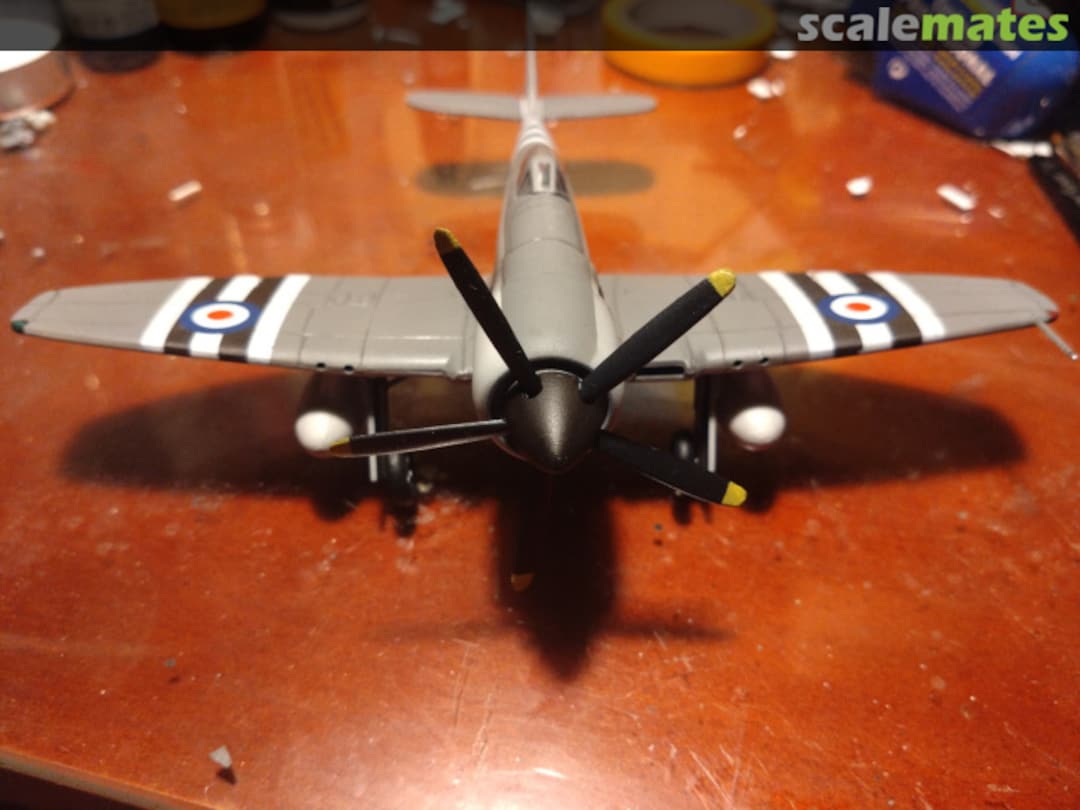 View album, image #6 View album, image #6