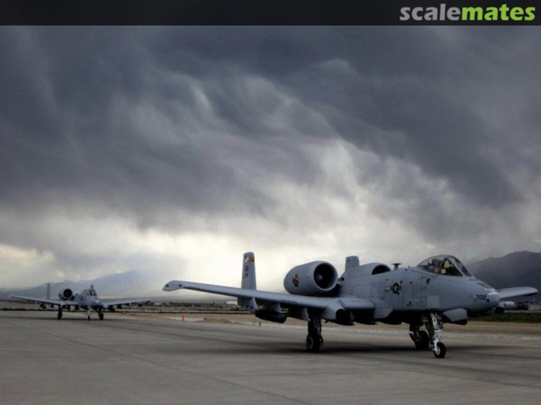 View album, image #1