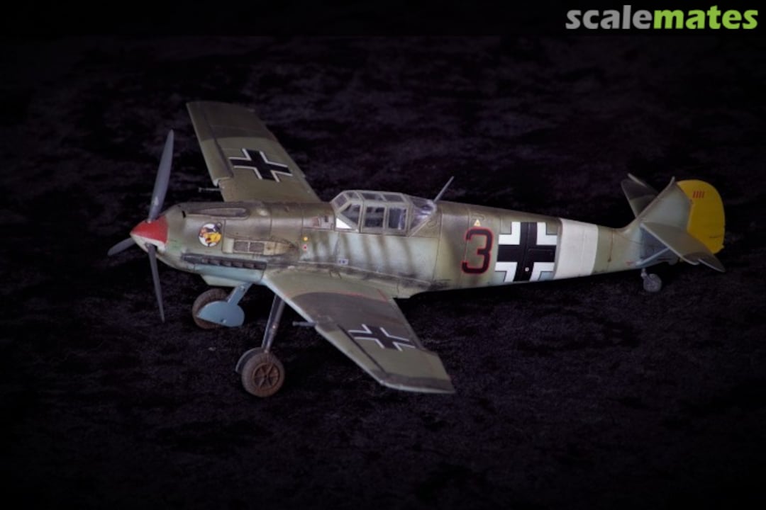 View album, image #1 View album, image #1