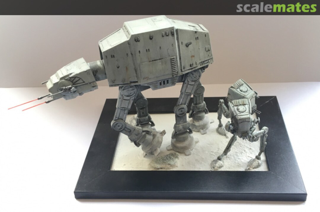 View album, image #11 View album, image #11