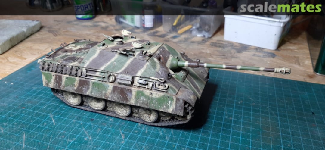 View album, image #5 View album, image #5