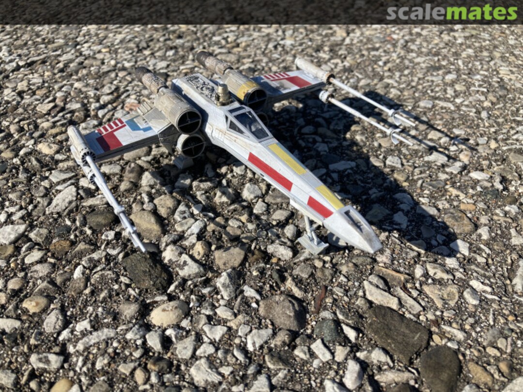 View album, image #4