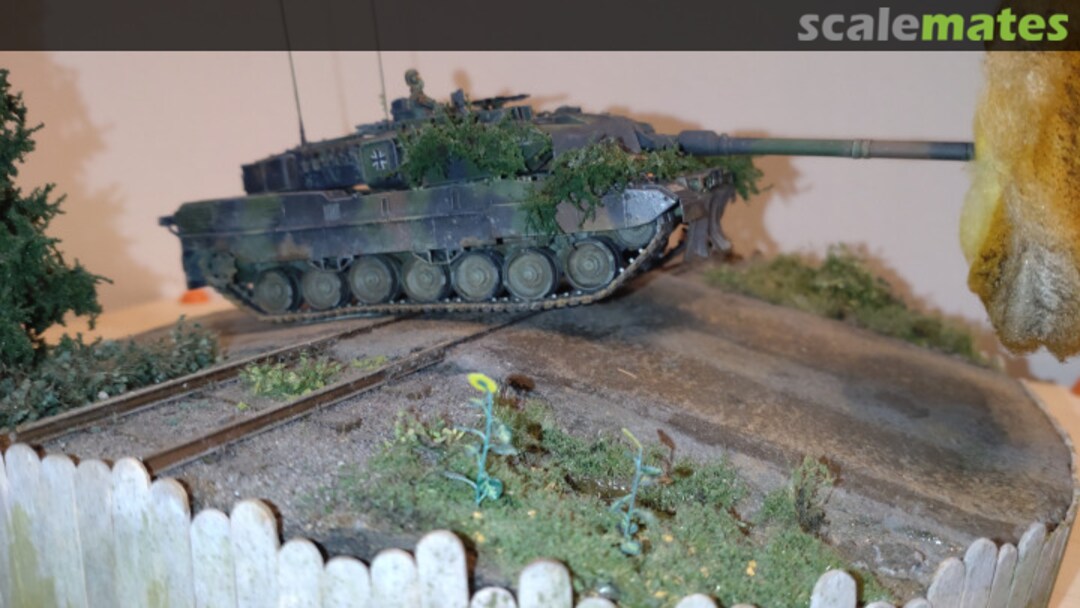 View album, image #20 View album, image #20