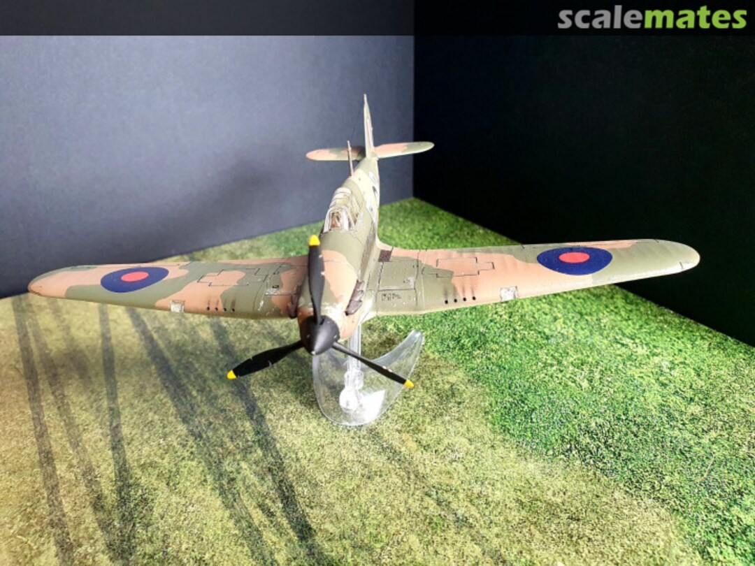 View album, image #1