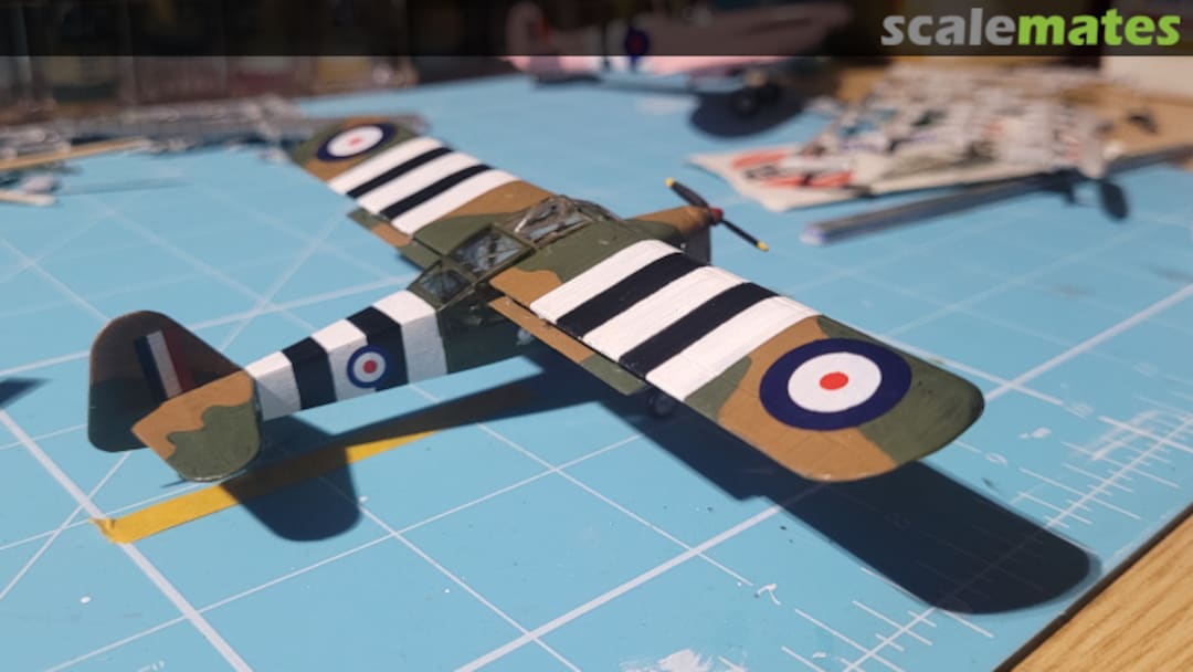 View album, image #6 View album, image #6