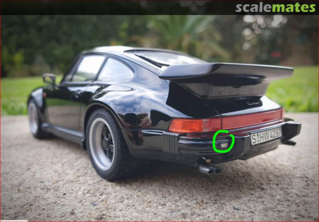 View album, image #1 View album, image #1