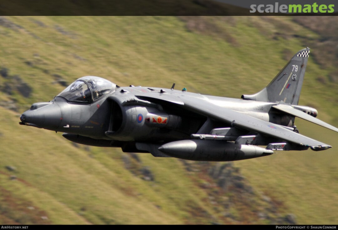 View album, image #1