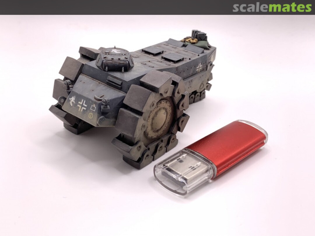 View album, image #10 View album, image #10