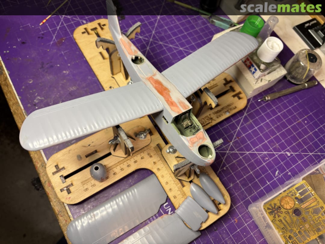 View album, image #1 View album, image #1