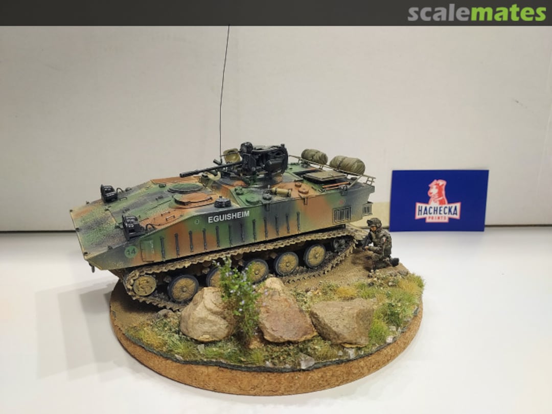 View album, image #8 View album, image #8