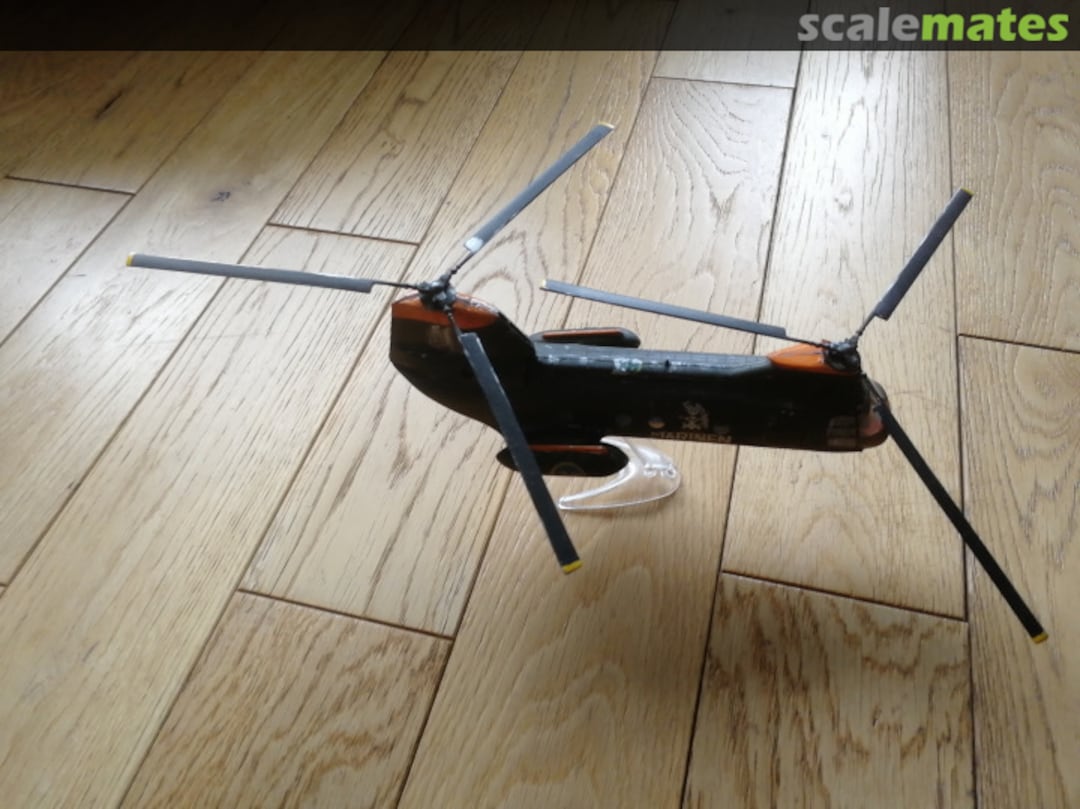 View album, image #5 View album, image #5