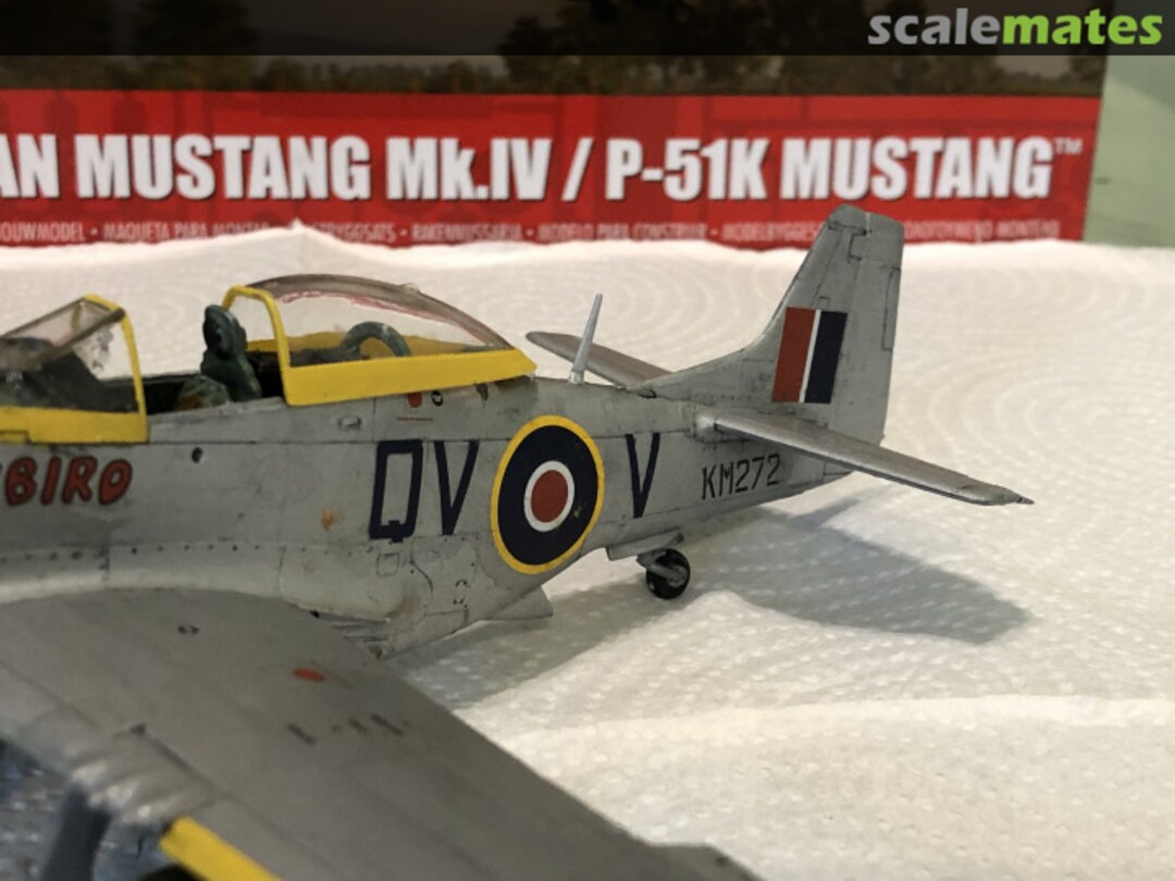 View album, image #1 View album, image #1