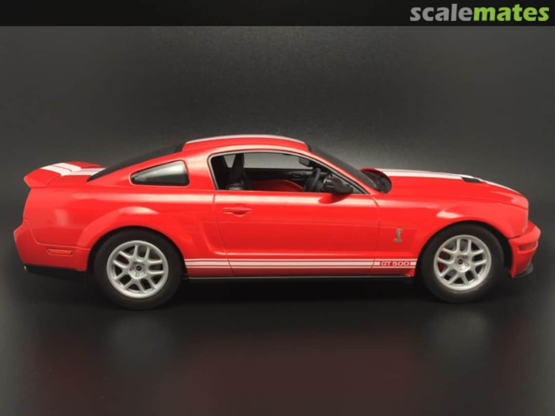 View album, image #1