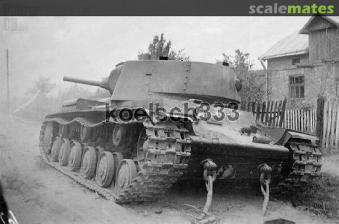 View album, image #1 View album, image #1