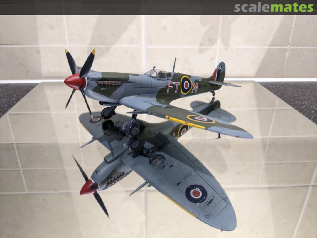 View album, image #1 View album, image #1