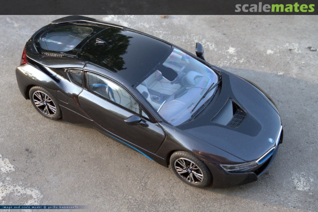 View album, image #11 View album, image #11