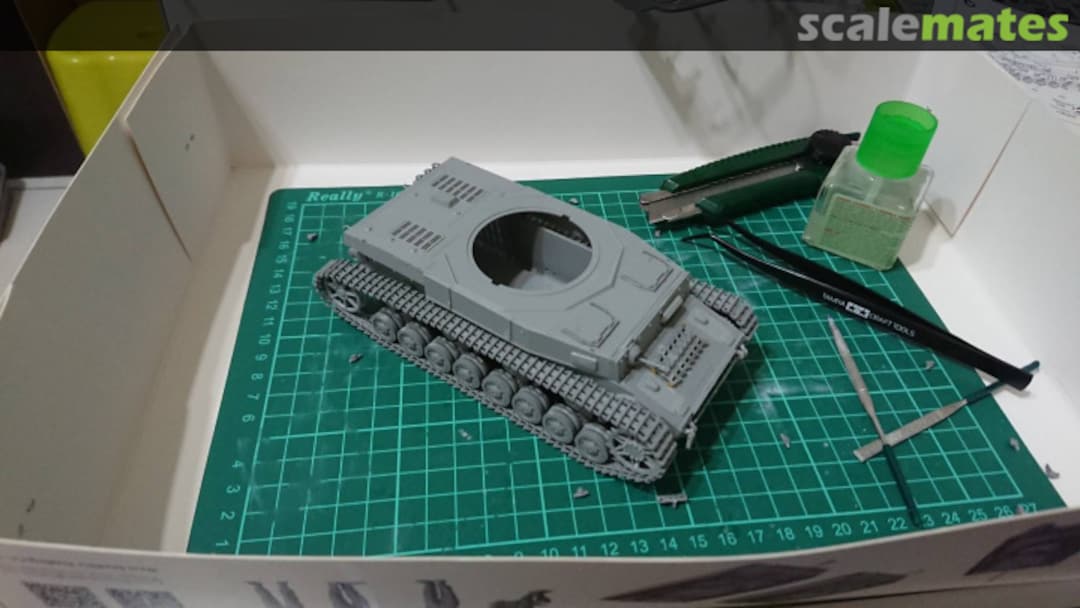 View album, image #1 View album, image #1